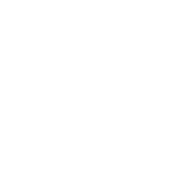 logo rys