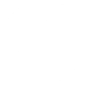 rys 300 logo white