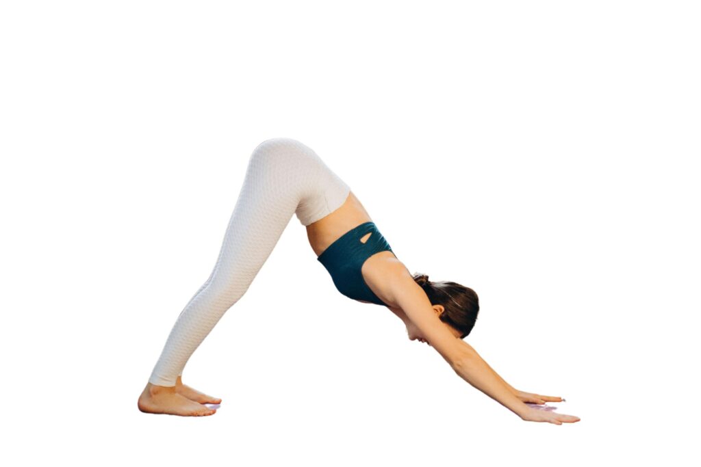 Downward Dog (Adho Mukha Svanasana)