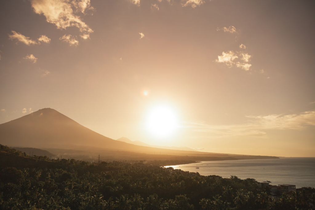 amed