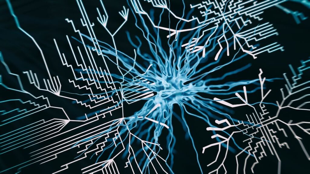 Nervous System Yoga: Practices to Reset Mind and Body 2 nervous system